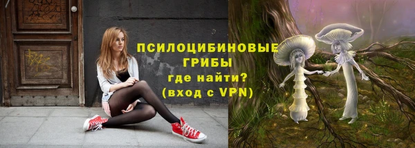 мет Алексин
