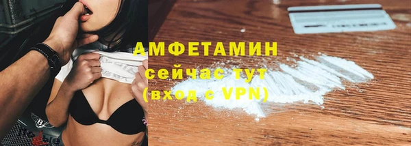 мет Алексин