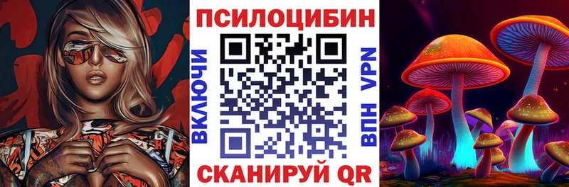 где можно купить kraken tor Псилоцибиновые грибы Psilocybe Нижнеудинск